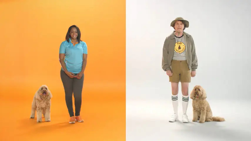 Play video